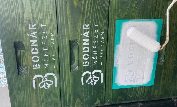 Töltsd ki az üres falfelületeket!