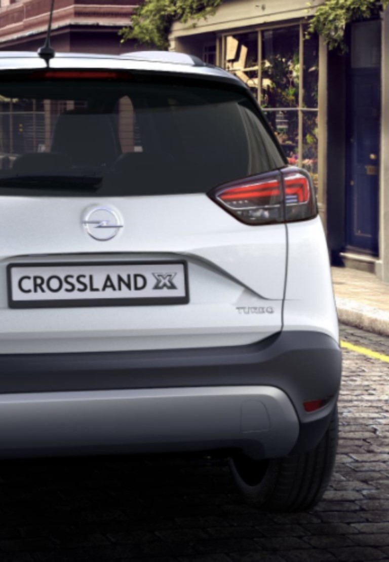 Autómatrica vicces cicabejáró