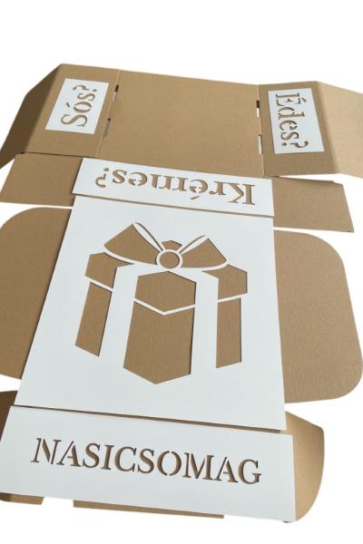 Photoroom 20241220 104851