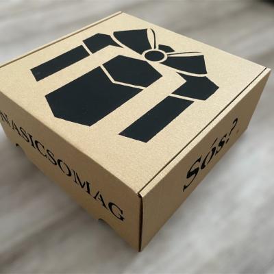 Photoroom 20241220 104912